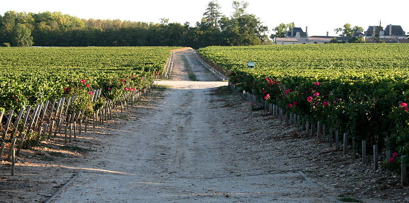 Regione del bordeaux