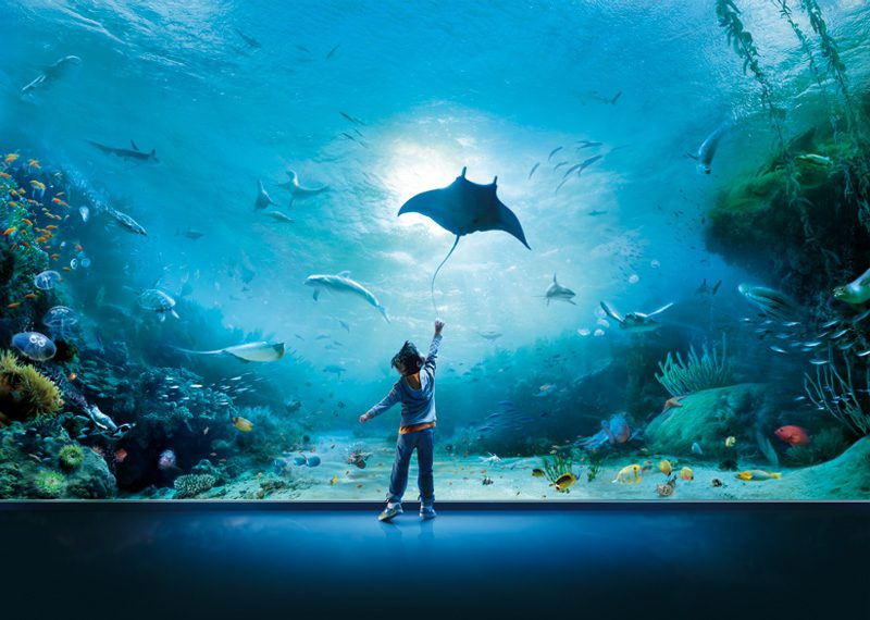 Acquario-BIG