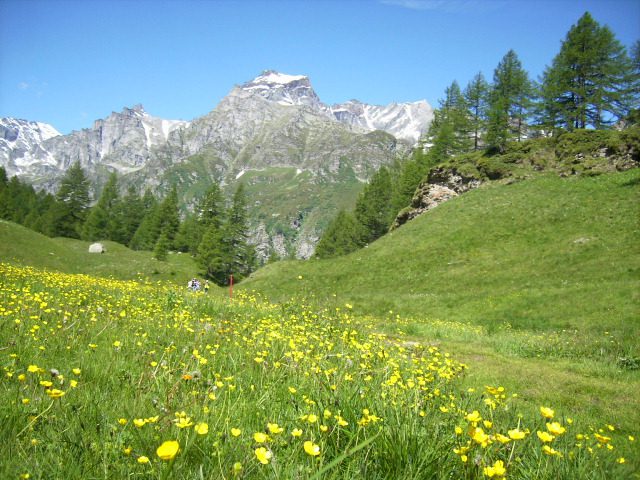 laghi