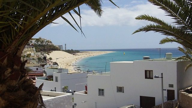 canarie