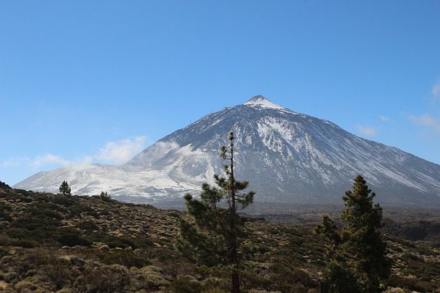 canarie