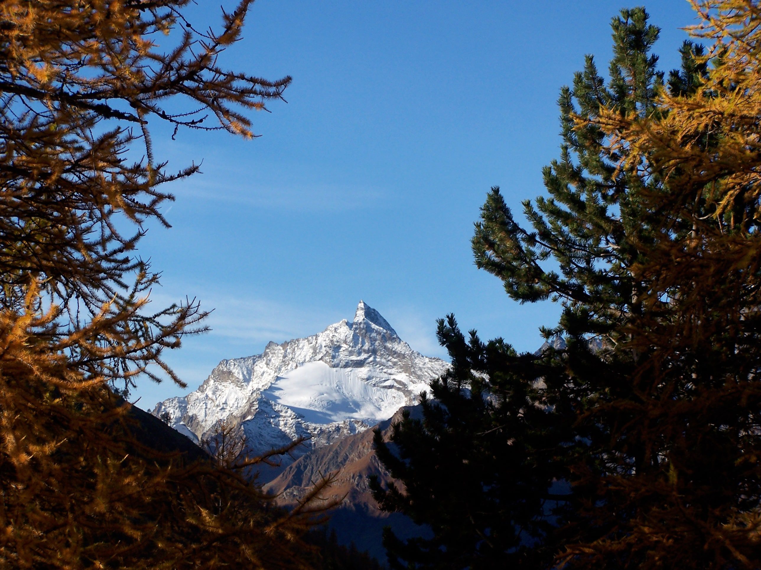 Gran Paradiso