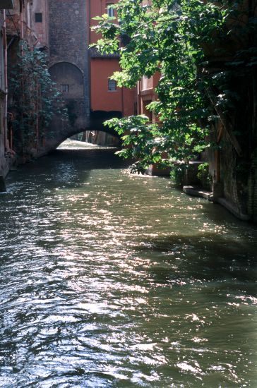 Bologna