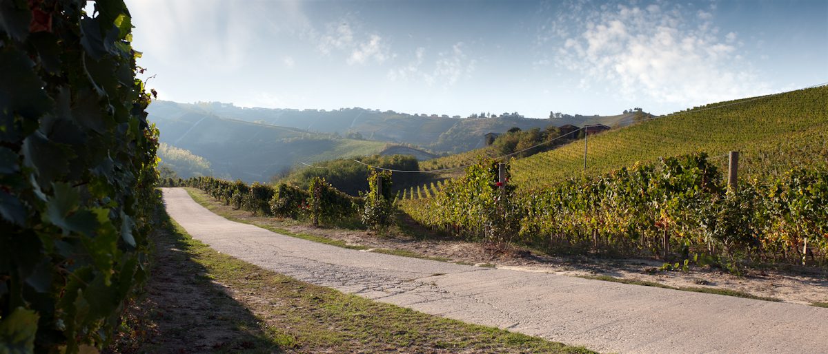 Langhe