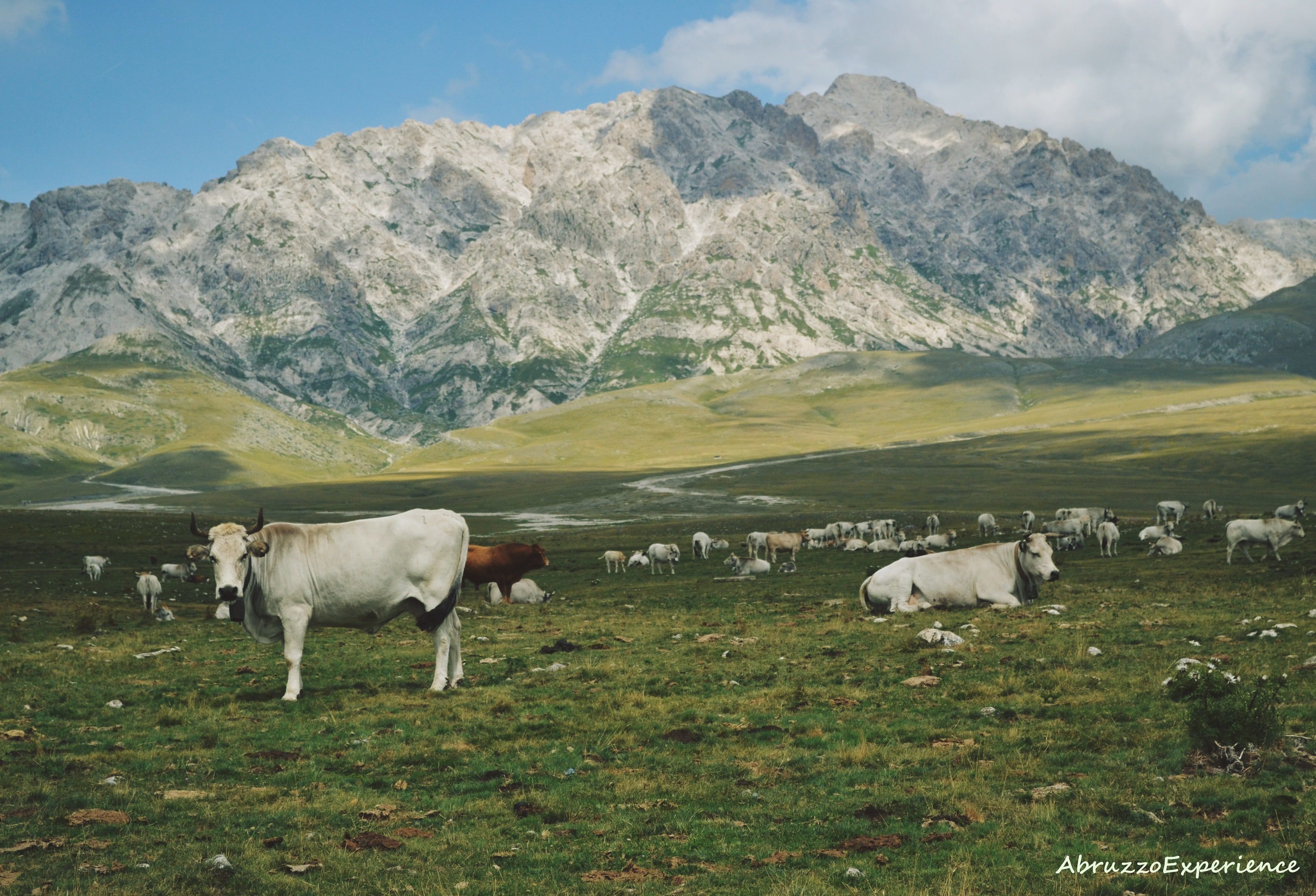 Abruzzo