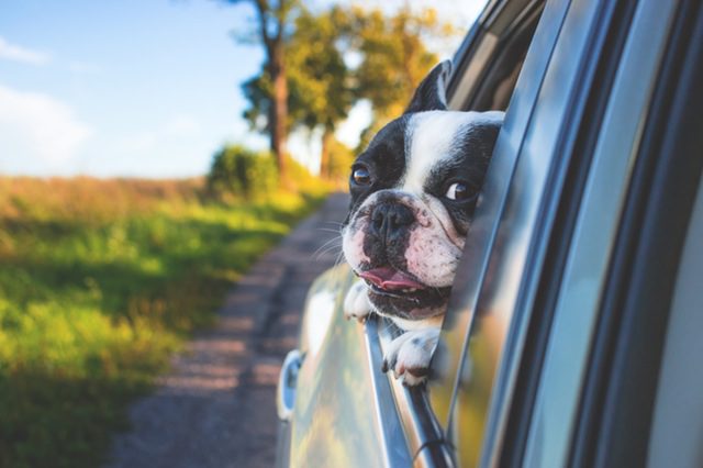 Come tenere pulito l'abitacolo dell'auto