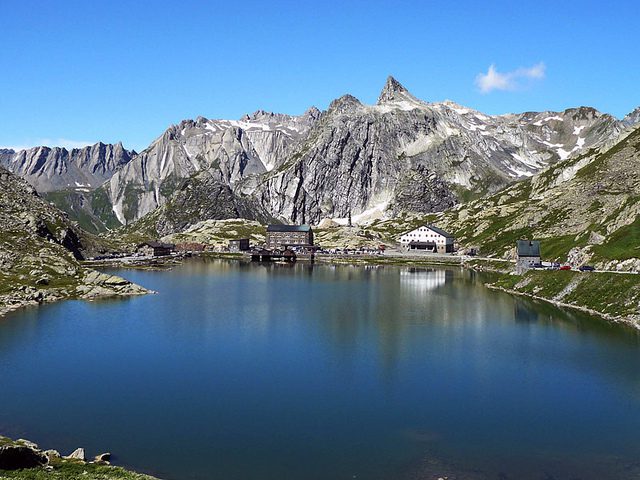 gran san bernardo