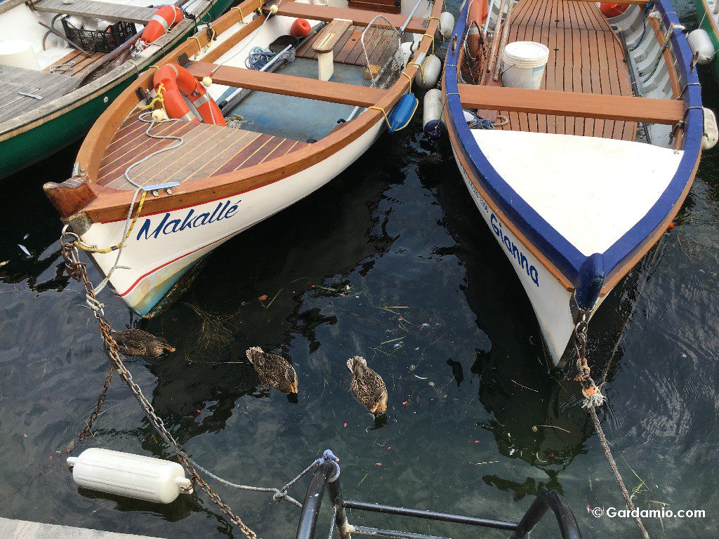 #Italiaontheroad: sul Lago di Garda, tra Lago e Cielo
