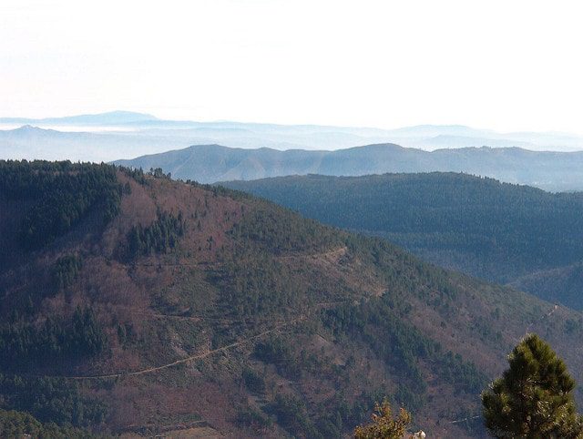 5 posti dove fare Yoga nel mondo