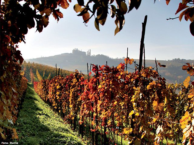 Cultura, storia e natura sono tra le principali ricchezze del territorio della provincia di Cuneo